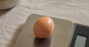 poid oeuf